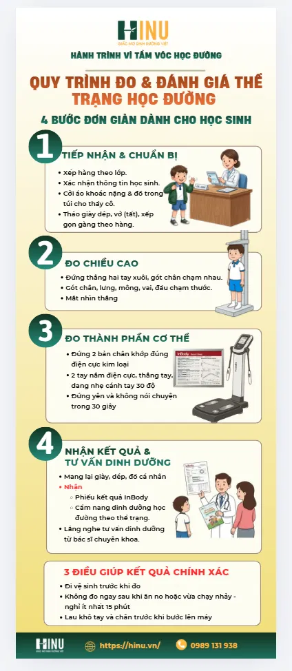 Tờ hướng dẫn quy trình đo và đánh giá thể trạng học đường của HINU: bốn bước dành cho học sinh — tiếp nhận và chuẩn bị, đo chiều cao, đo thành phần cơ thể, nhận kết quả và tư vấn dinh dưỡng.